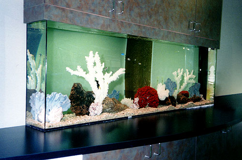 Neptune Aquariums