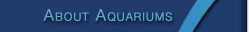 about aquariums