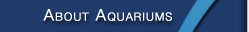 about aquariums